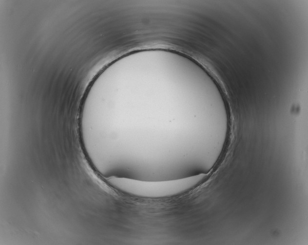 X0000112140805200908281315