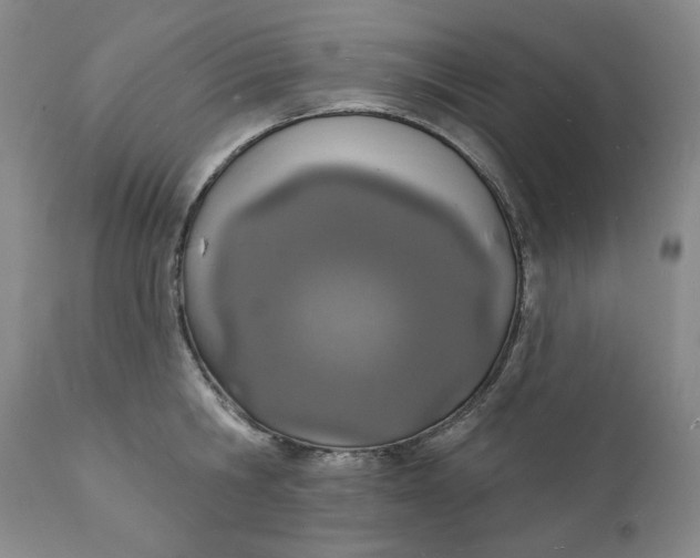 X0000112140806200908281315