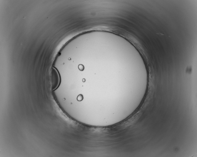 X0000112140808200908281315