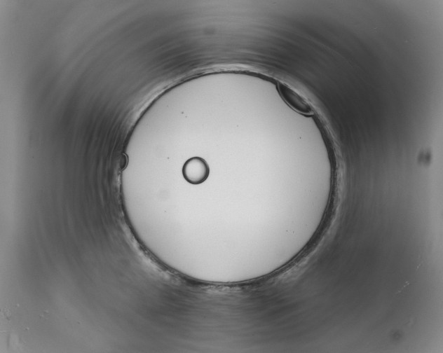 X0000112140809200908281315