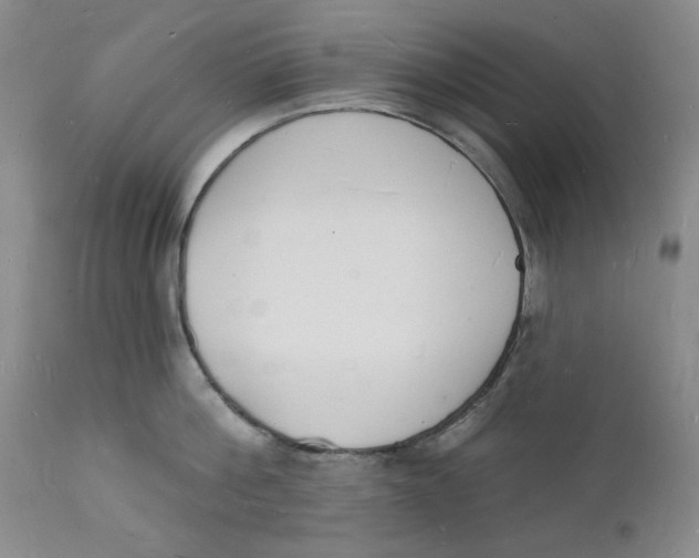 X0000112140812200908281315