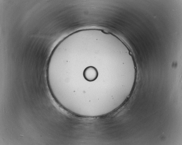 X0000112140813200908281315