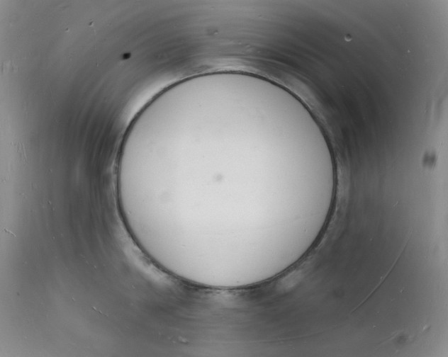 X0000112140814200908281315