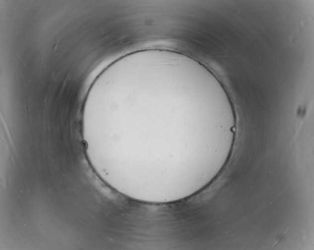 X0000112140816200908281315