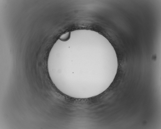 X0000112140817200908281314