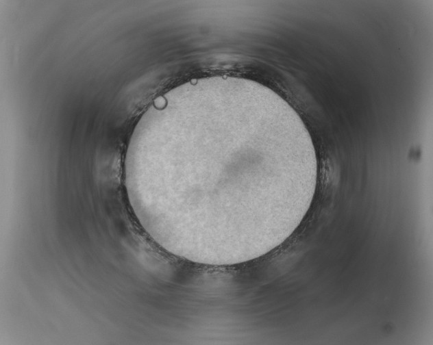 X0000112140820200908281314