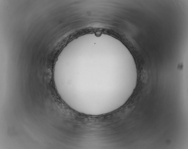 X0000112140821200908281314