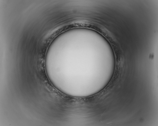 X0000112140822200908281314