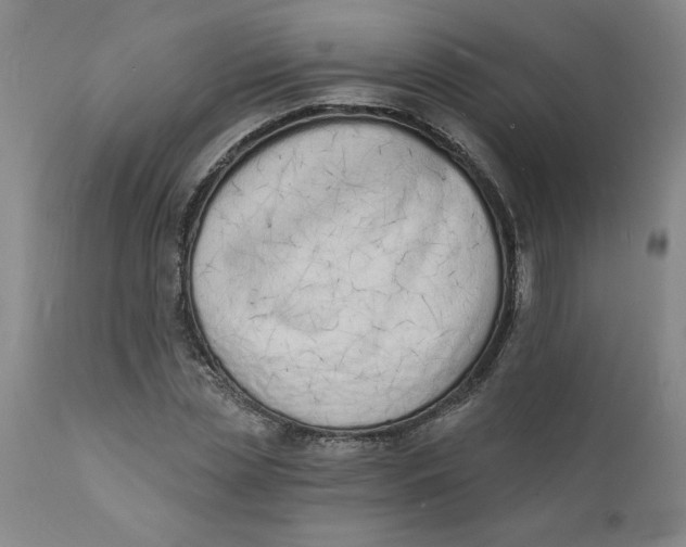 X0000112140829200908281314