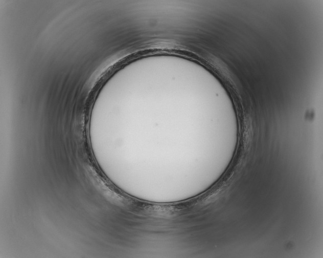 X0000112140831200908281314