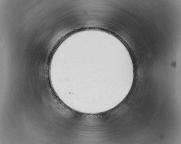 X0000112140832200908281314