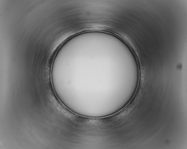 X0000112140835200908281314