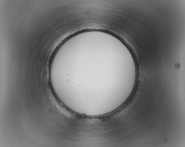 X0000112140837200908281315