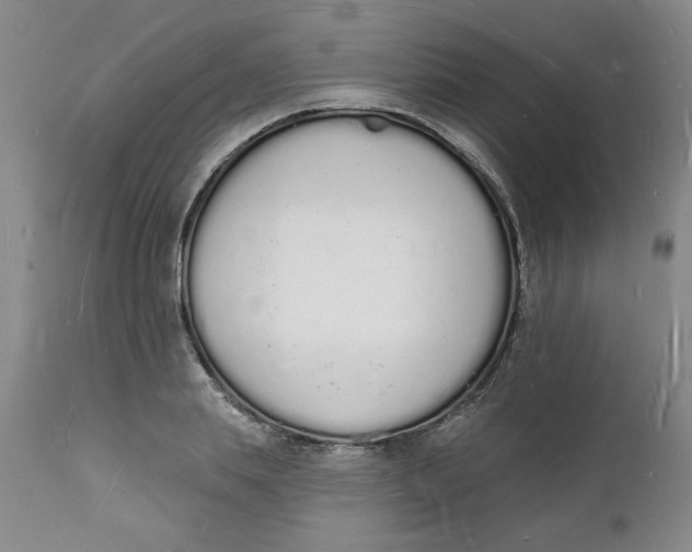 X0000112140839200908281315