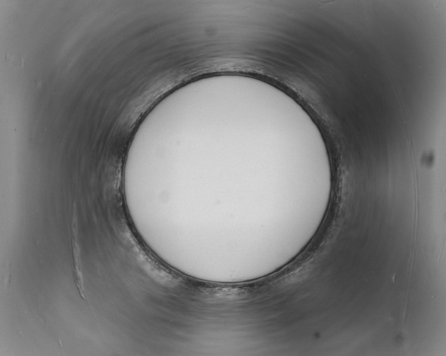 X0000112140841200908281315