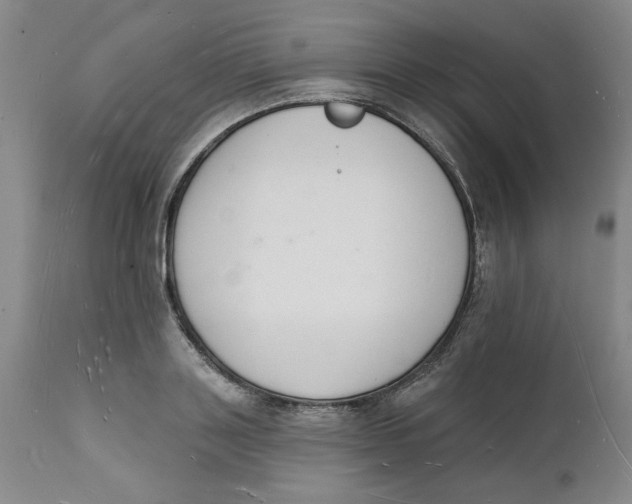 X0000112140843200908281315