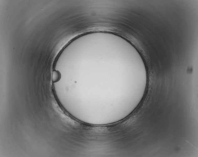 X0000112140844200908281315