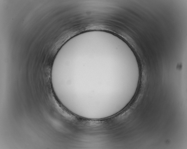 X0000112140849200908281315