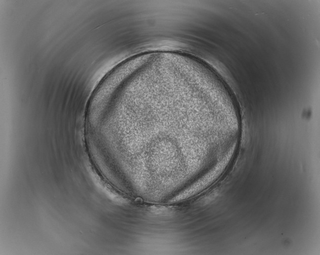 X0000112140850200908281315