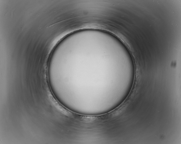 X0000112140854200908281315