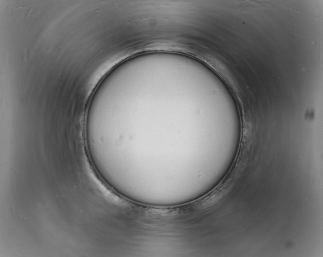 X0000112140855200908281315