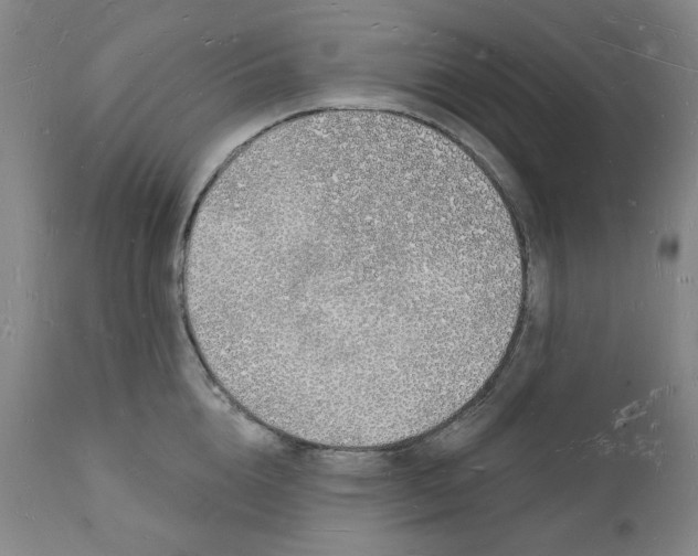 X0000112140856200908281315