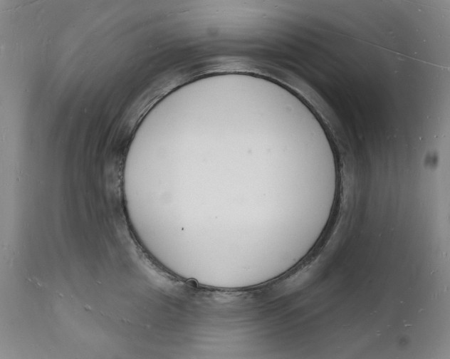 X0000112140857200908281315