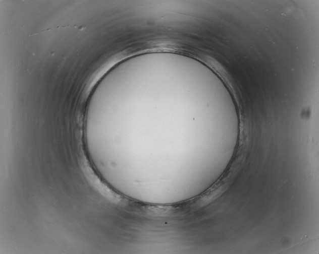 X0000112140859200908281315