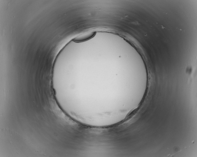 X0000112140860200908281315