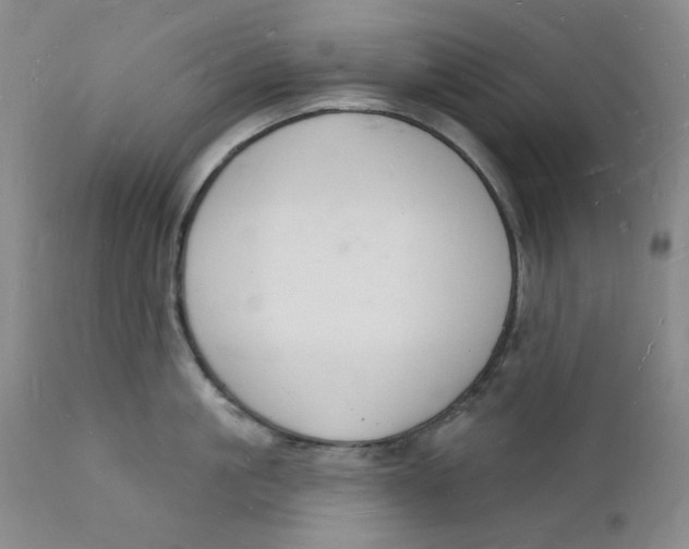 X0000112140861200908281315