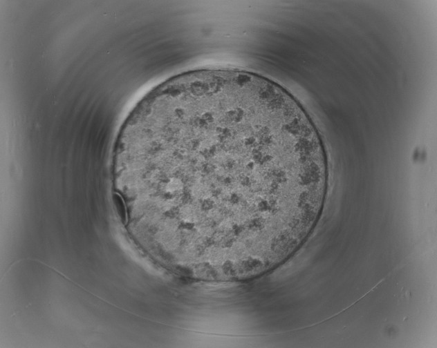 X0000112140864200908281315