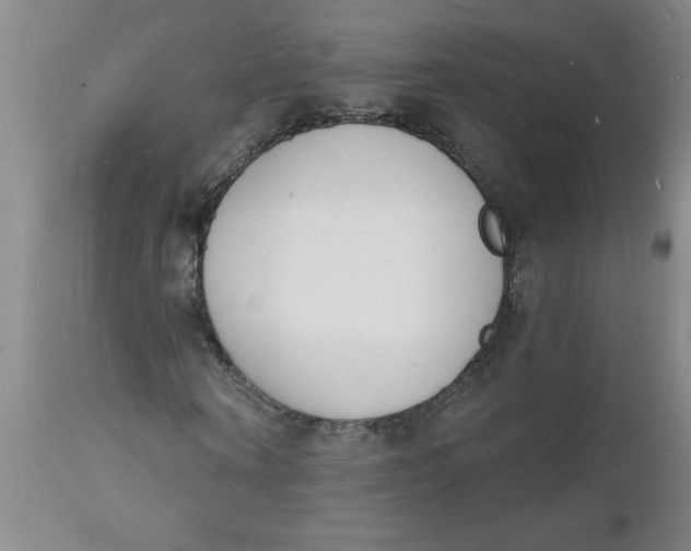 X0000112140866200908281314