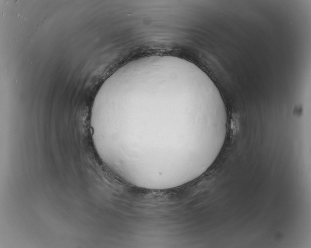 X0000112140867200908281314