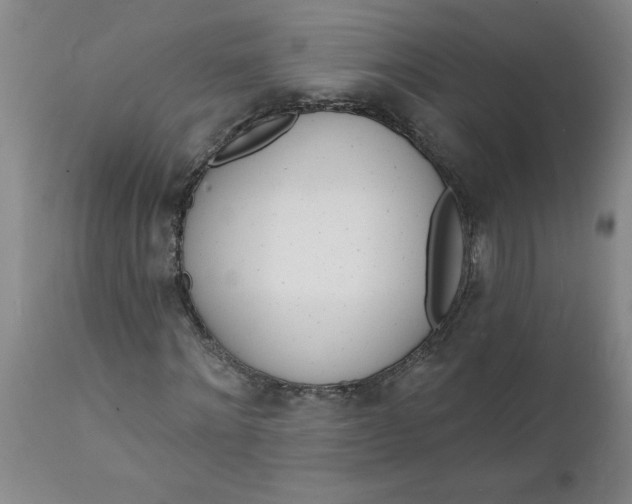 X0000112140868200908281314