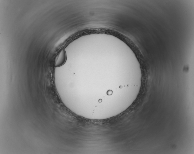 X0000112140871200908281314