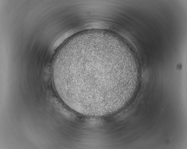 X0000112140874200908281314