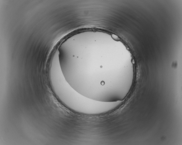 X0000112140876200908281314