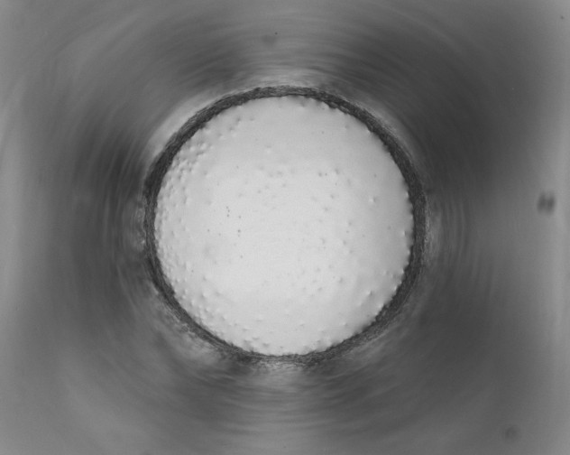 X0000112140878200908281314