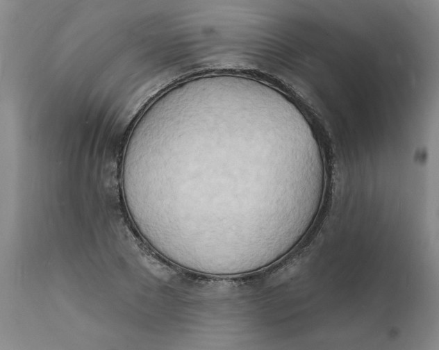 X0000112140881200908281314