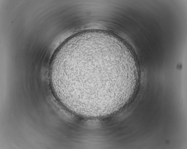 X0000112140882200908281314