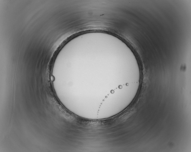 X0000112140883200908281314