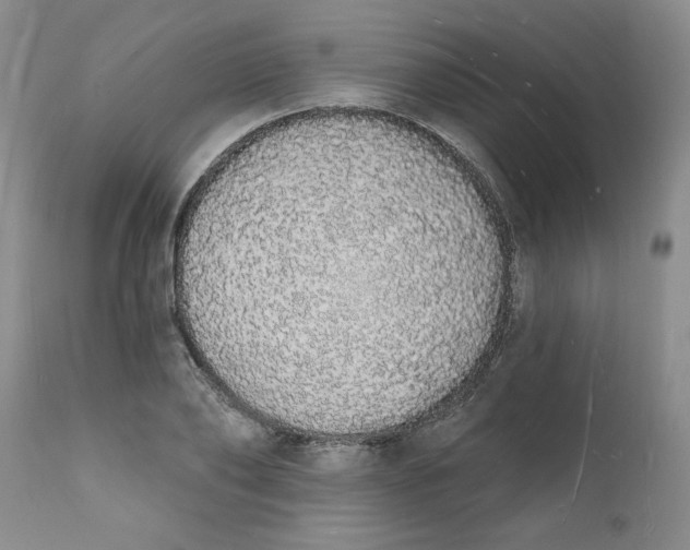 X0000112140886200908281314