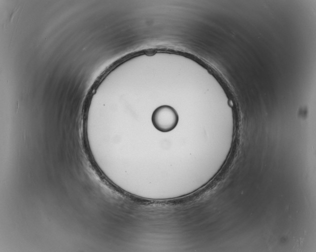 X0000112140888200908281314