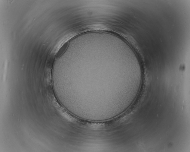 X0000112140889200908281314