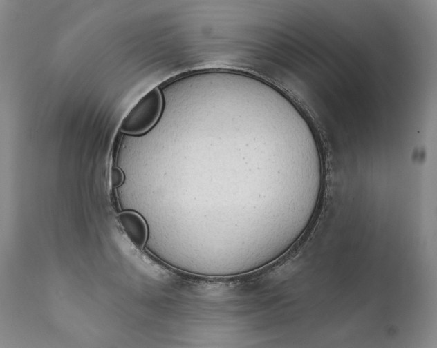 X0000112140892200908281314