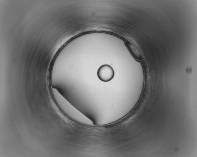 X0000112140893200908281314