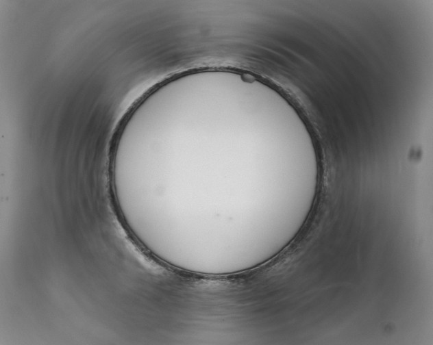 X0000112140894200908281314