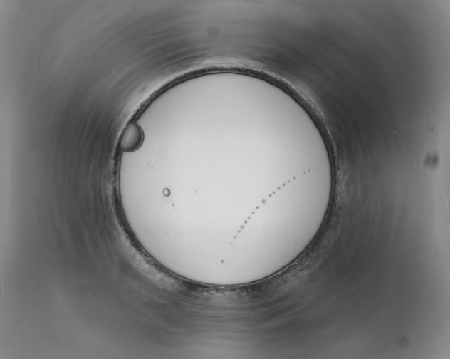 X0000112140895200908281314