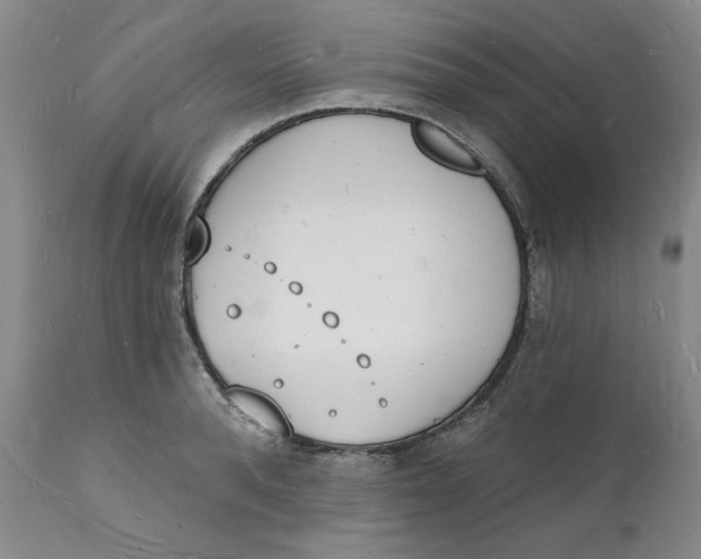 X0000112140896200908281314