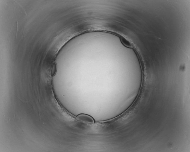 X0000112140897200908281314